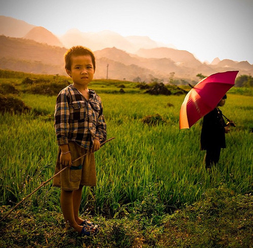 Tài khoản Rezanate chia sẻ bức ảnh này và cho biết đã dành bốn ngày lái xe qua vùng Tây Bắc Việt Nam và có cơ hội chiêm ngưỡng nhiều cảnh đẹp. Anh đã lái xe qua những cánh đồng, ngọn núi và gặp gỡ nhiều người tốt bụng. Anh đã chụp bức ảnh này trên đường đi. Đó là những giờ vàng trên mảnh đất vàng".