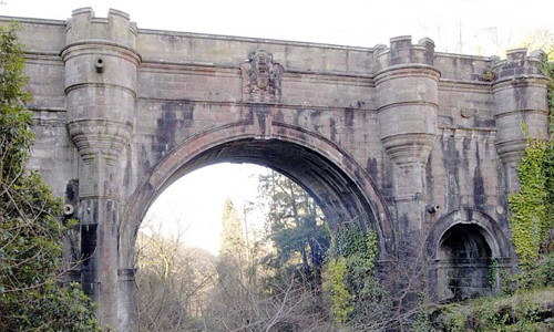 Giai ma bi an cay cau hon 600 con cho tu sat