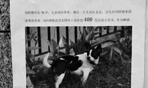 Ba lao dai gia tung 13 ty dong de tim cho lac