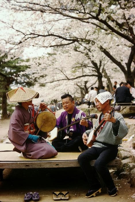 Một nhóm nam giới Nhật Bản chơi nhạc cụ truyền thống, hòa mình vào âm nhạc.