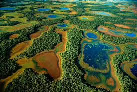 Pantanal là hệ thống rừng ngập mặn lớn nhất thế giới và là nơi sinh sống của hàng trăm loài chim di cư, thủy sản, động vật có vú và thực vật đặc hữu của rừng ngập mặn.