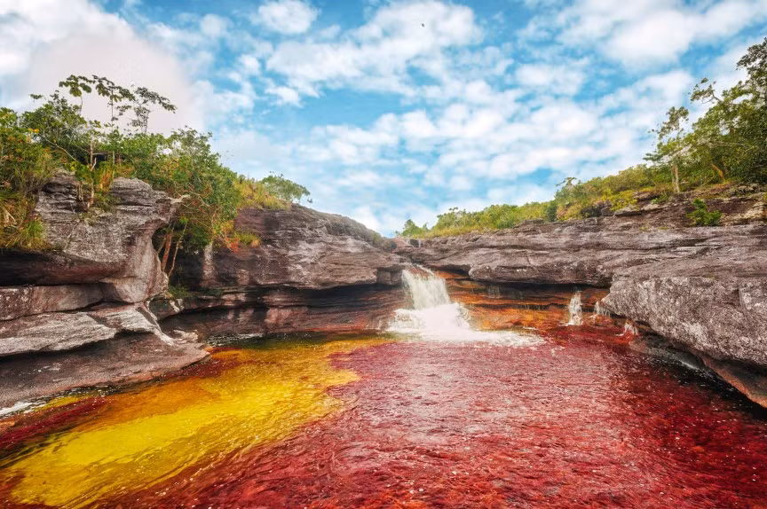 3. Sông Cano Cristales, Colombia còn được biết đến với tên gọi "sông ngũ sắc" gây ấn tượng với du khách với thảm thực vật đa dạng, độc đáo và rực rỡ màu sắc ở dưới nước.