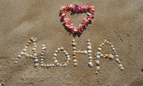 Tiểu bang Hawaii sử dụng hai ngôn ngữ chính thức là tiếng Anh và tiếng Hawaii.