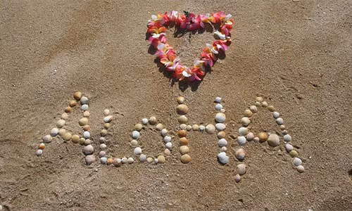 Tiểu bang Hawaii sử dụng hai ngôn ngữ chính thức là tiếng Anh và tiếng Hawaii.