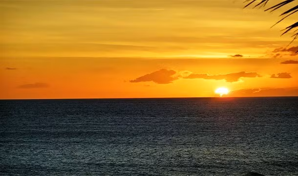 Người dân Hawaii có tuổi thọ trung bình cao nhất ở Mỹ, với 81,3 tuổi.