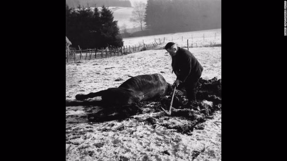 Một nông dân chôn xác con ngựa của mình bị giết chết trong trận chiến Bulge khốc liệt.