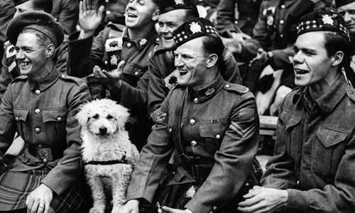Chú chó ngồi cùng các binh sĩ theo dõi trận bóng chày giữa quân đội Mỹ và Canada tại sân vận động Wembley ở London ngày 8/8/1943.