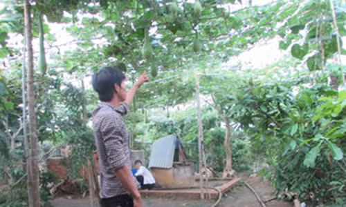 Gian bau bi an trong nha ke tam than giet me