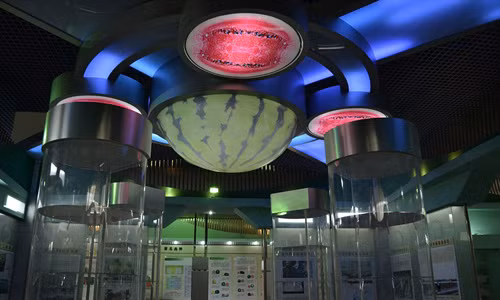 Bảo tàng dưa hấu Trung Quốc nằm ở Bắc Kinh, Trung Quốc. Đây là bảo tàng dưa hấu độc nhất vô nhị trên thế giới và có thiết kế tòa nhà giống loại trái cây này.