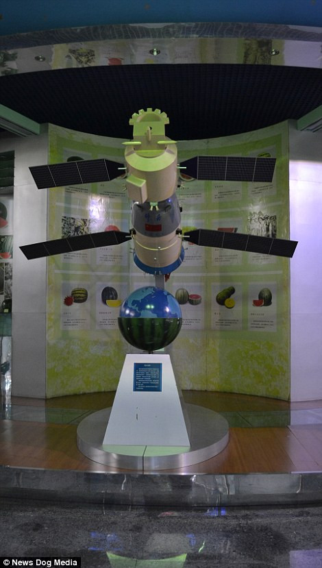 Nhiều mô hình sáp trái dưa hấu khiến khách tham quan thích thú.