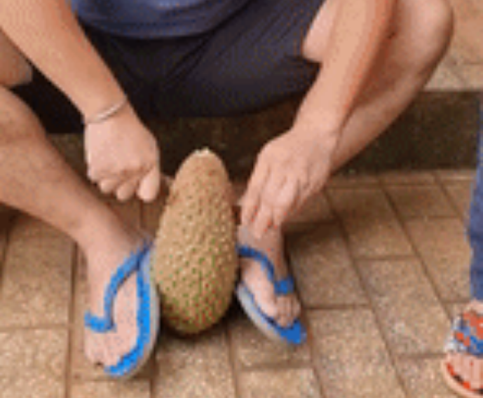 Nhiet tinh bo sau rieng 30 nam 1 lan, thanh nien chi biet keu troi