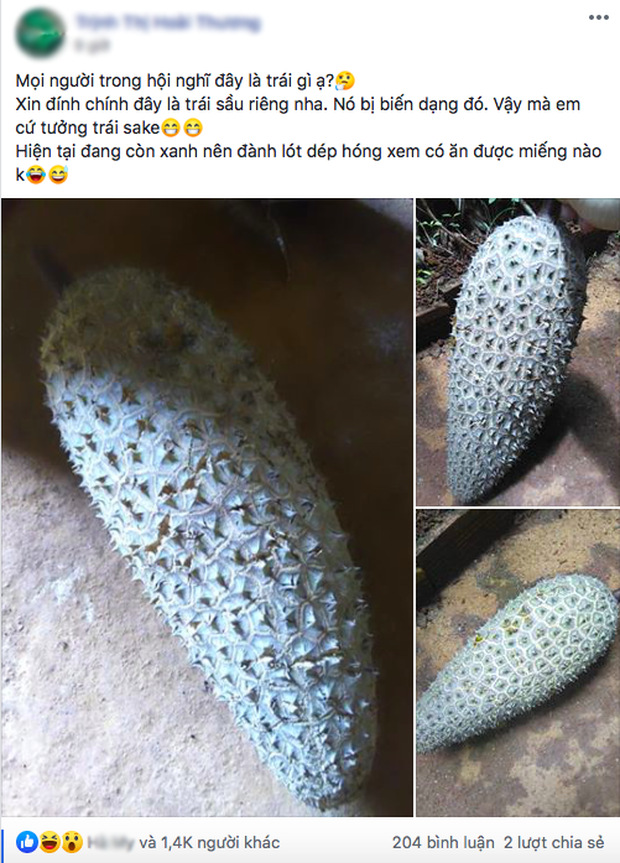 Thi thoảng trên MXH lại xuất hiện các quả sầu riêng có hình thù độc lạ khiến cư dân mạng không khỏi thắc mắc, trở thành chủ đề bàn tán sôi nổi.