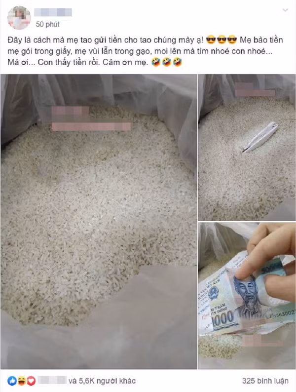 Một cô gái từng chia sẻ hình ảnh được mẹ gửi đồ ăn từ quê lên để "tiếp tế" cho sự nghiệp học hành vất vả.