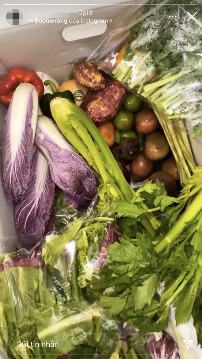 Những món rau củ của 2 người giống nhau y hệt và được đăng cùng thời gian khiến cư dân mạng bán tín bán nghi rằng Phí Phương Anh và chàng thiếu gia đang ở cùng nhau.