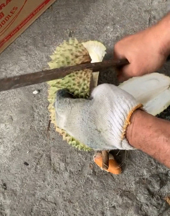 Mới đây, trên MXH xuất hiện đoạn clip ghi lại cảnh bổ sầu riêng dở khóc dở cười thu hút sự chú ý của cư dân mạng.