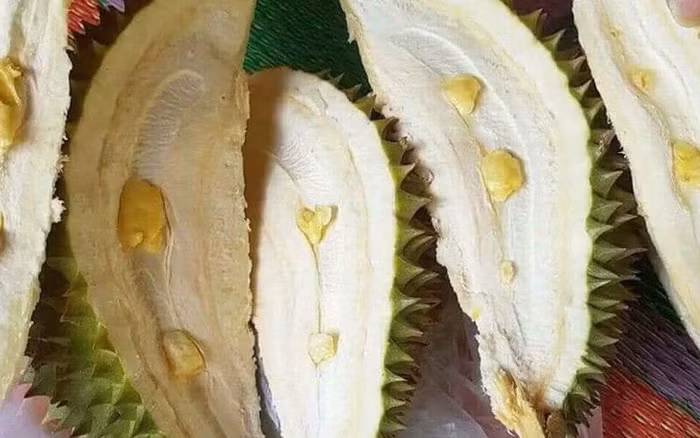 Trước đó, không ít lần cư dân mạng đã từng kiến những trái sầu riêng chẳng giống như bình thường, đặc biệt khi chúng được "khui ruột" bên trong.