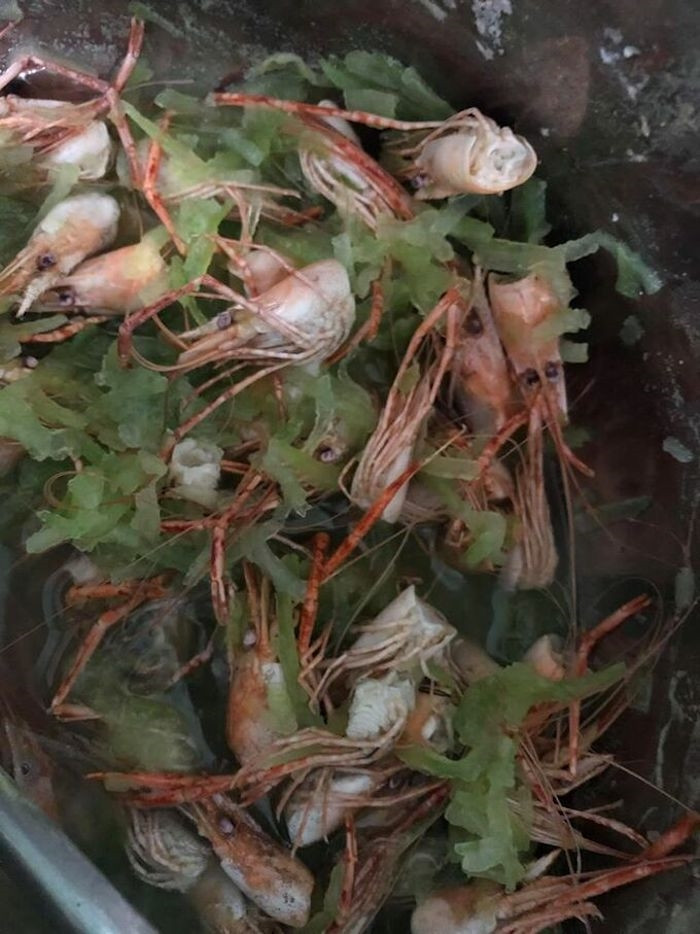 Ai cũng phải phì cười với bát canh của anh chồng nhưng cũng khuyên anh nên học tập thêm việc nấu nướng để chăm sóc vợ tốt hơn.