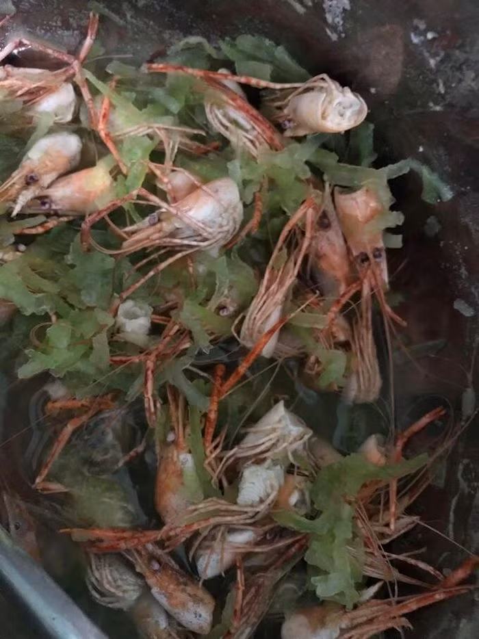 Ai cũng phải phì cười với bát canh của anh chồng nhưng cũng khuyên anh nên học tập thêm việc nấu nướng để chăm sóc vợ tốt hơn.