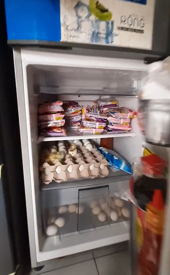 Vừa xong có một trường hợp tích trứng vịt lộn trong tủ lạnh nhưng… không bật điện . Mấy ngày sau mở ra trứng nở thành vịt lúc nào không hay.