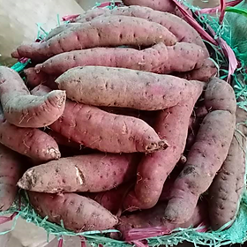 Câu chuyện về một thanh niên mua khoai dự trữ mùa dịch và nhận cái kết "tá hỏa" đang gây chú ý trên MXH.