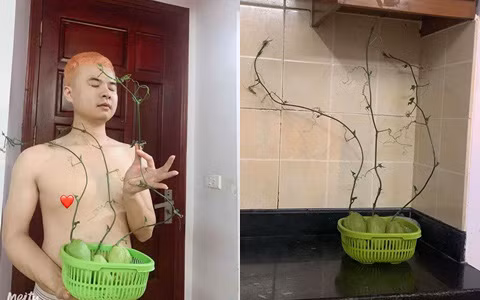 Có lẽ do lo sợ dịch bệnh kéo dài nên nhiều người đã mua rất nhiều thực phẩm về dự trữ để ăn dần.