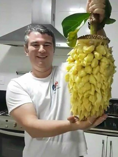 Có lẽ cũng chính vì để bảo toàn được múi mít nguyên vẹn nên nhiều người mới chọn cách lột vỏ như vậy, để tránh bị nát phần múi bên trong.