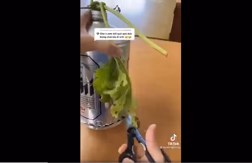 Sau khi tỉ mần cắt vỏ lon bia, quả dưa hấu bên trong đã chuyển sang vỏ màu vàng chứ không phải màu xanh như thường thấy.