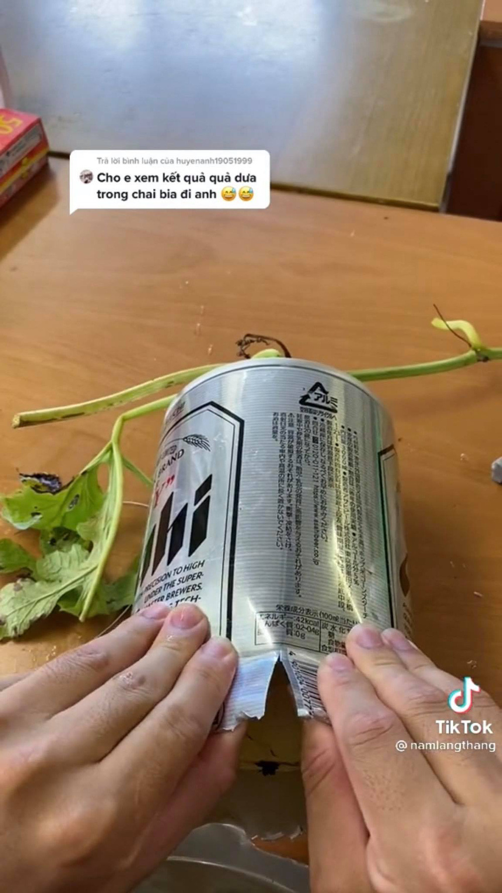 Thì ra, do chiếc khuôn này đã che hết ánh sáng nên quả dưa khó phát triển như bình thường, đồng nghĩa với việc màu xanh vốn có của nó đã chuyển sang màu vàng.