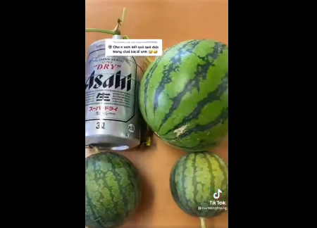 Tới ngày thu hoạch, chàng trai ra vườn hái quả và cảm giác hồi hộp bắt đầu lan toả cả đến những người xem clip. Nhưng rồi cả nam thanh niên lẫn người xem clip đều... đơ người khi nhìn thấy bên trong.