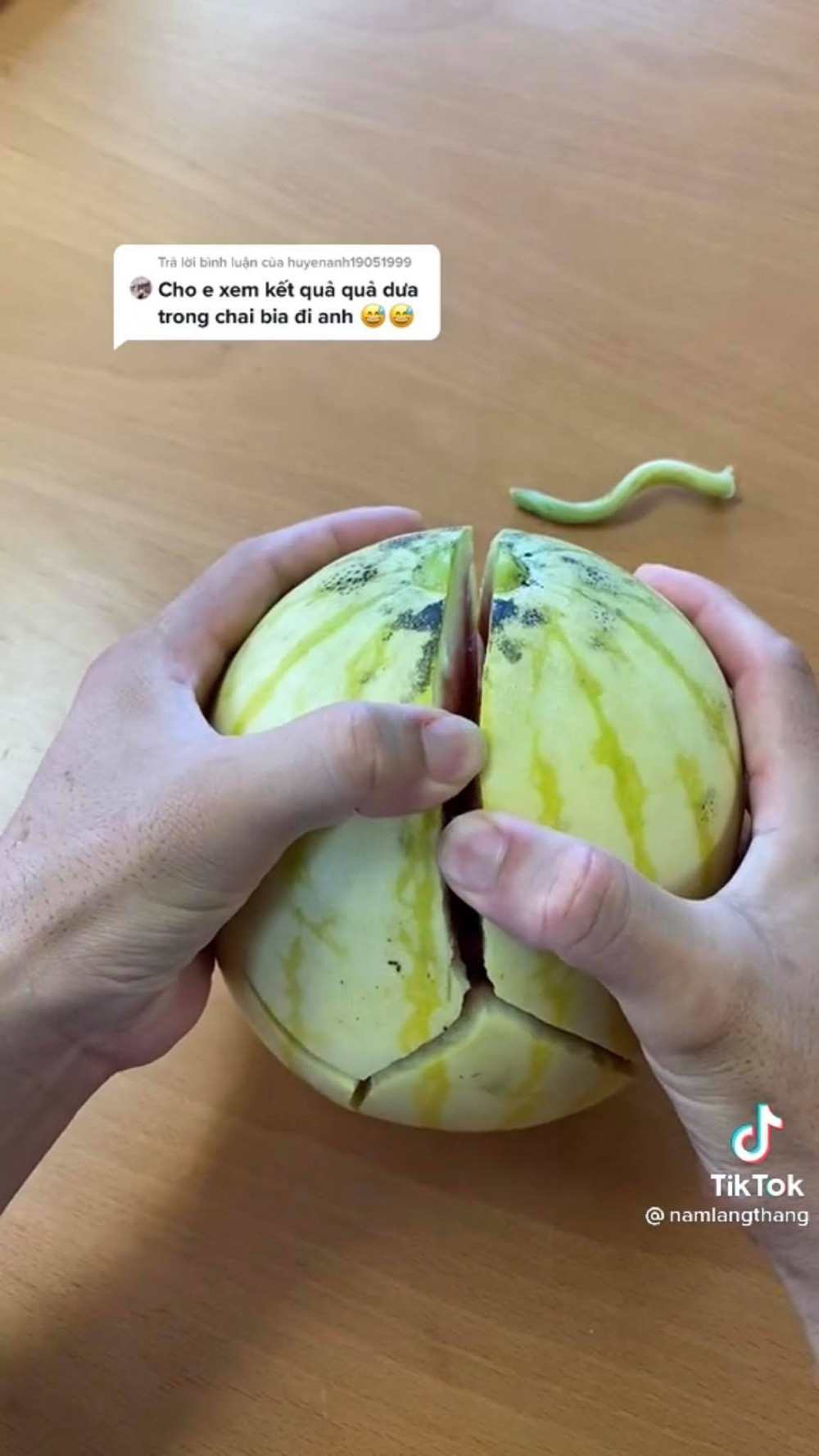 Ngoài ra, khi bổ quả dưa hấu nhìn phần ruột bên trong càng khiến chàng trai thất vọng hơn, dù ruột vẫn đỏ nhưng có dấu hiệu bị ủng. Chủ nhân đoạn clip cũng chia sẻ đã ăn thử và không được ngon, ngọt như những quả được trồng bình thường.