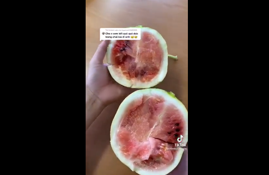 Bên dưới clip TikTok này, netizen đồng loạt đưa ra bình luận ngán ngẩm và khuyên chàng trai để lần sau không còn "nghịch dại" nữa.