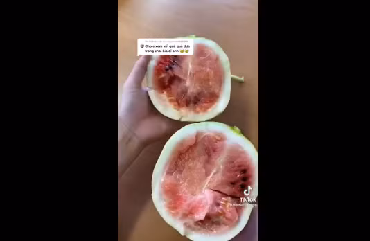 Bên dưới clip TikTok này, netizen đồng loạt đưa ra bình luận ngán ngẩm và khuyên chàng trai để lần sau không còn "nghịch dại" nữa.