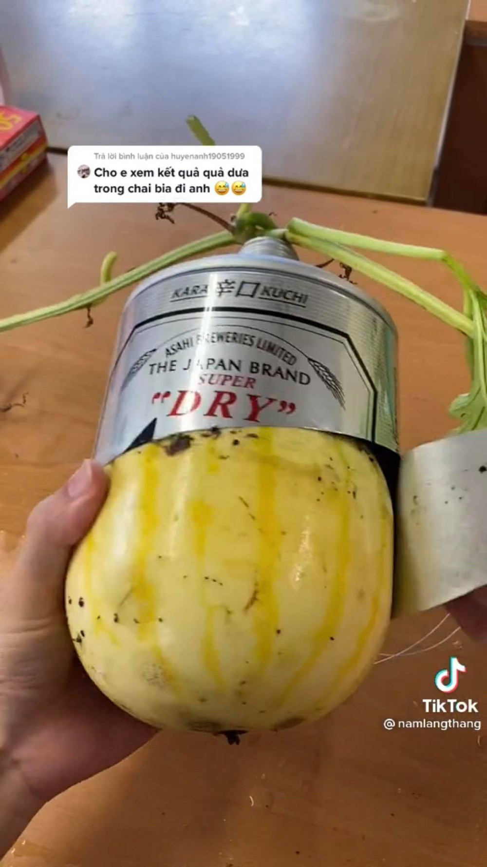 Được biết để tạo hình cho quả, đặc biệt là dưa hấu người nông dân sẽ dùng khuôn trong suốt, có thể đón ánh nắng mặt trời.