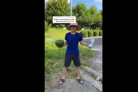 Để tạo hình dưa hấu, thanh niên này đã sử dụng một lon bia cỡ lớn và trồng nó bên trong hòng được quả dưa theo đúng như mong muốn.