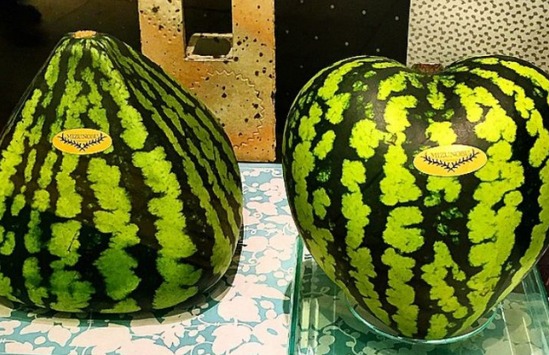 Sự khác lạ và độc đáo này đã khiến cho những quả dưa hấu đó được săn đón và có mức giá cao hơn hẳn. Ảnh: Tổng hợp