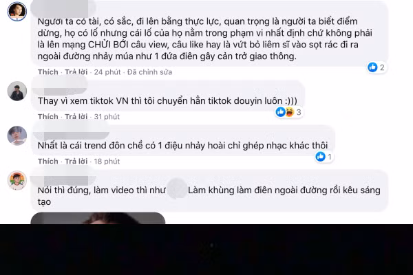 "Người ta có tài, có sắc, đi lên bằng thực lực, quan trọng là người ta biết điểm dừng, họ có lố nhưng cái lố của họ nằm trong phạm vi nhất định chứ không phải là lên mạng chửi bới câu view, câu like hay là vứt bỏ liêm sỉ vào sọt rác đi ra ngoài đường nhảy múa như 1 đứa điên gây cản trở giao thông" - một ý kiến của tài khoản P.H nhận được khá nhiều đồng tình.