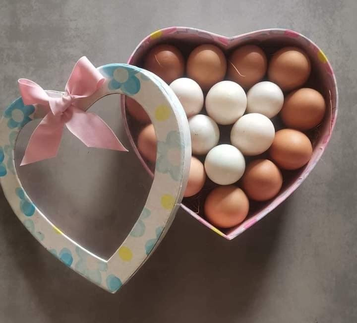 Bộ ảnh sính lễ mùa dịch khi được công bố đã thu hút nhiều sự chú ý của cộng đồng mạng. Phần lớn ý kiến cho rằng ý tưởng này vô cùng sáng tạo và thiết thực.