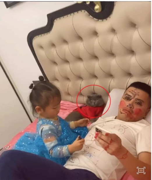 Chỉ cần sao nhãng một chút trong việc để ý, trông nom chúng là y như rằng sẽ xảy ra những tình huống hài hước đến bất lực.