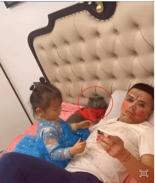 Chỉ cần sao nhãng một chút trong việc để ý, trông nom chúng là y như rằng sẽ xảy ra những tình huống hài hước đến bất lực.