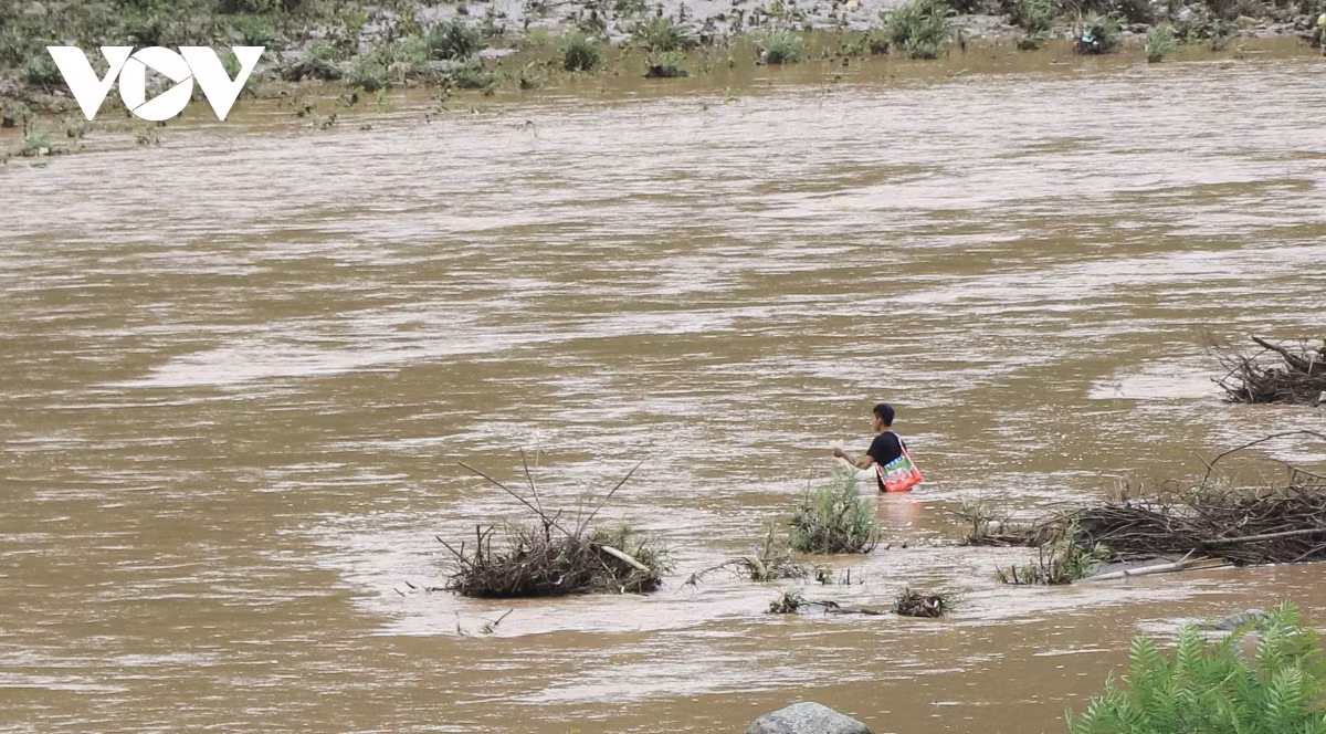 Nuoc song duc ngau do nuoc lu, dan van danh bat ca