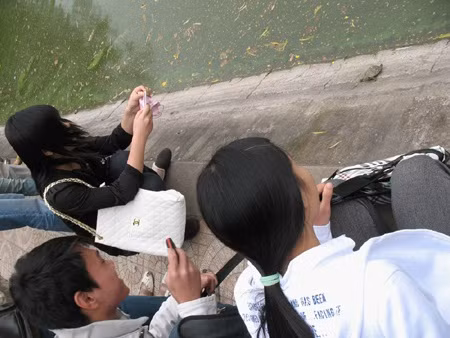 Tuy nhiên, việc phóng sinh rùa tai đỏ thực sự gây hại cho môi trường, bởi loài này có khả năng sinh sản nhanh sẽ đe dọa các loài đang sinh sống trong môi trường đó.