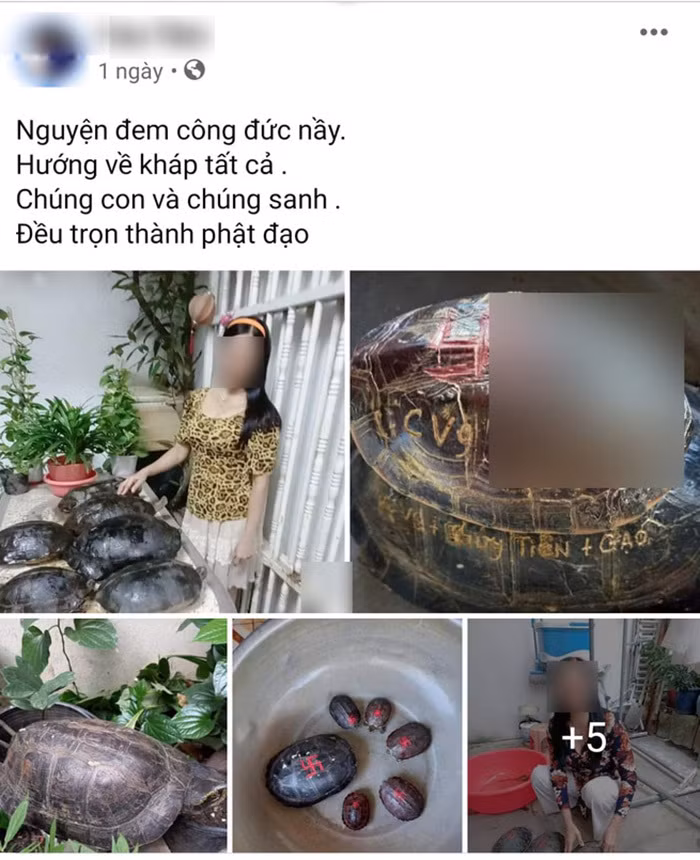 Mới đây cư dân mạng bất ngờ chuyền tay nhau hình ảnh được cho là chụp từ Facebook mẹ ca sĩ Thủy Tiên chia sẻ việc thả tùa để phóng sinh.
