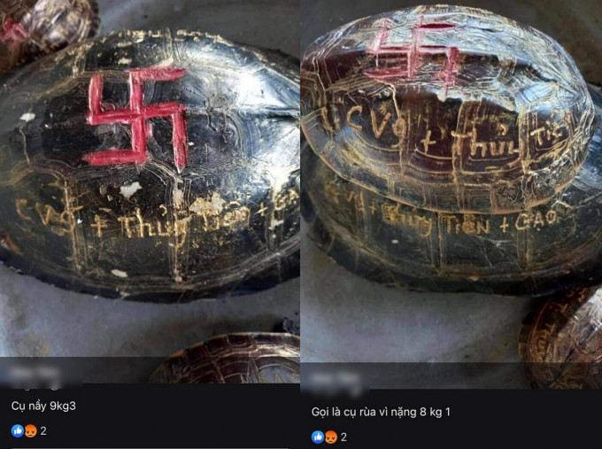 Theo nhiều cư dân mạng cho biết, hành động khắc tên lên mai rùa là không nên, bởi mai rùa có mạch máu và việc khắc tên sẽ khiến loại động vật này đau đớn. Nhanh chóng sau đó, bài đăng của mẹ ca sĩ Thủy Tiên được netizen chú ý, gây ra nhiều tranh cãi.