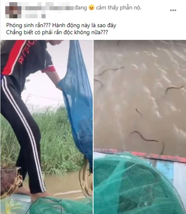 Một thanh niên từng gây phẫn nộ khi phóng sinh một lúc hơn 20kg rắn ra sông vào rằm tháng 7.