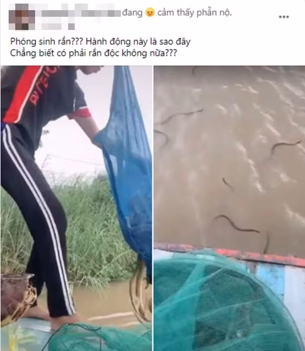 Một thanh niên từng gây phẫn nộ khi phóng sinh một lúc hơn 20kg rắn ra sông vào rằm tháng 7.