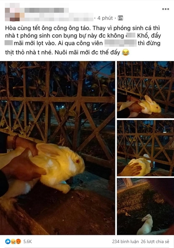 Một tài khoản mạng đã đăng tải hình ảnh mình đi thả thỏ để phóng sinh trong ngày ông Công ông Táo khiến dư luận “ném đá” kịch liệt.