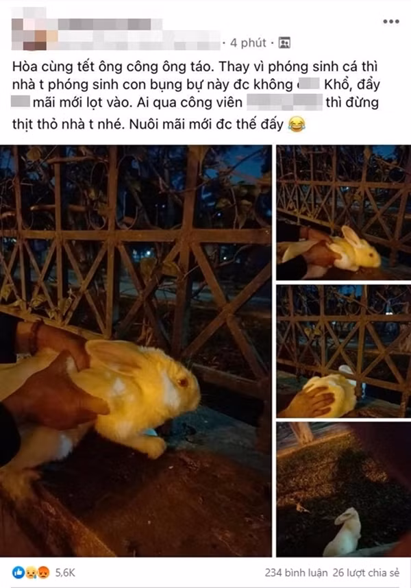 Một tài khoản mạng đã đăng tải hình ảnh mình đi thả thỏ để phóng sinh trong ngày ông Công ông Táo khiến dư luận “ném đá” kịch liệt.