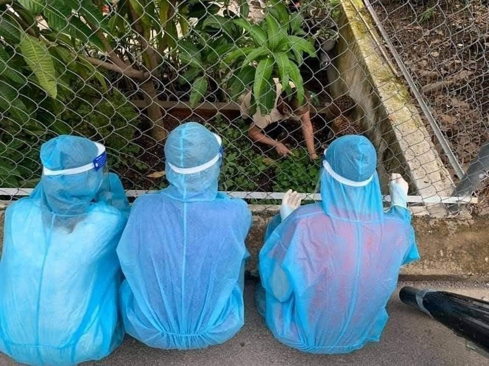 Hình ảnh dễ thương của những "chiến binh áo xanh" này khiến nhiều người cảm thấy như được truyền thêm năng lượng.