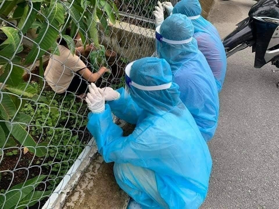 Hình ảnh 3 bạn trẻ ngồi phía ngoài hàng rào và phía trong là một người phụ nữ đang cắt rau xanh từ vườn nhà cho họ.