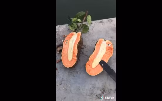 Màn bổ quả mít đột biến này gây chú ý bởi bên trong nó gần như không có múi rõ ràng, đồng thời màu của quả mít này hết sức đặc biệt với màu đỏ nghệ đẹp mắt.